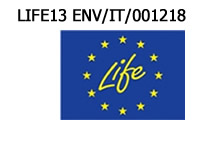logo Life+